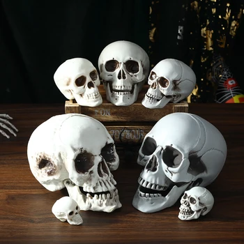 Halloween Skull Innredning Prop Skjelett Hodet Realistiske Hodeskaller for Voksne Halloween Stil Haunted House Party Hjemme Dekorasjon